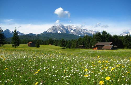 Ferienwohnungen Arnika - Foto 8