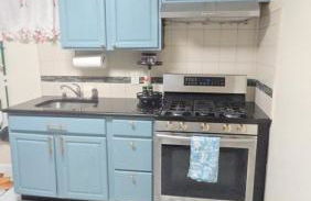 Staten Island Cozy Private 1-br Basement Apt close to NYC Family & Pet Friendly - Foto 30