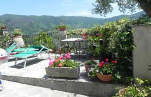 azienda agricola zulin casa elena - Foto 29