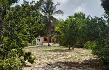 Abelha & Peixe Boi - Photo 21