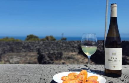 Yes Pico - By the Sea "Casa 3 Vistas" - Photo 8