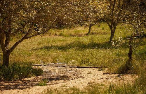 Quinta do Marmeleiro - Casa Marmeleiro - Foto 32