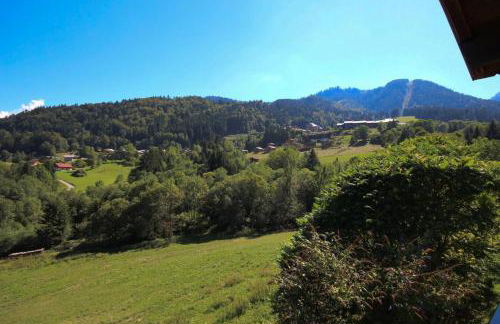 CHALET AVEC VUE DEGAGEE - SAINT JEAN D'AULPS - 8 PERSONNES - MOUILLETTES - Foto 12