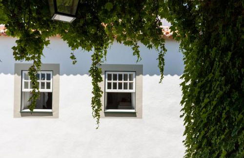 Casa de Casal de Loivos - Foto 9