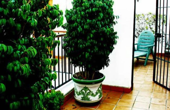 Casa Palacio Luna - Foto 2