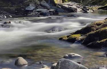 Pont Wrysgen Cottage 'the gateway to Snowdonia' - Photo 15