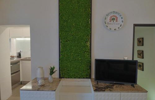 TORRE BIANCA VISTA MARE - Foto 10