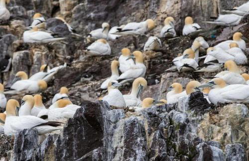 Cosy 2-BDR Apartment & 15 minutes to Edinburgh by train & Free Parking - Foto 34