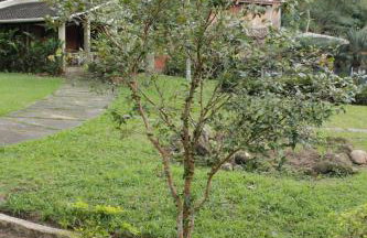 Lar Doce Lar Toque Toque Grande - Foto 57