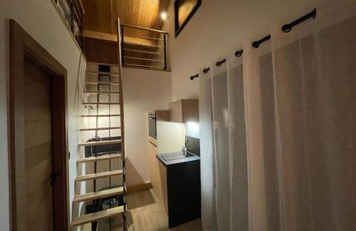 Appart Hôtel Le JAS - Foto 38