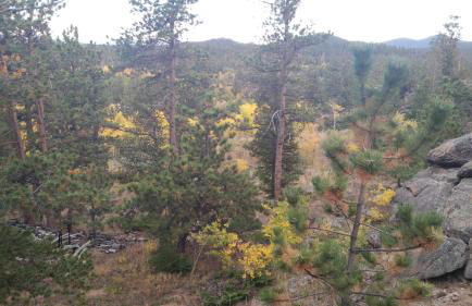 Cabin in the Woods - Foto 33