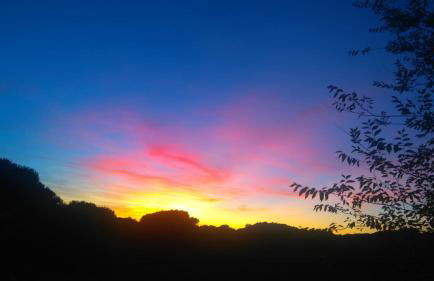 La Isabelita - Foto 40