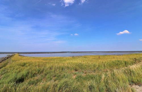 Ferienwohnungen "Zur Friesen Freude" - nur für Feriengäste - Foto 59