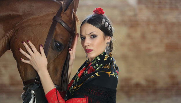 Spectacle équestre aux Écuries royales - Photo 3, Profitez du spectacle aux Écuries royales