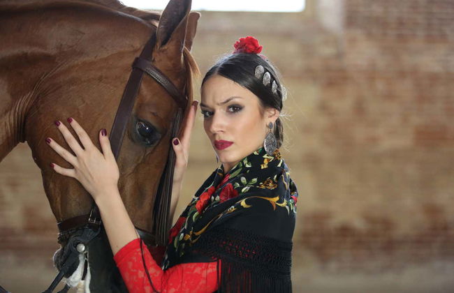 Spettacolo equestre alle Caballerizas Reales - Foto 3