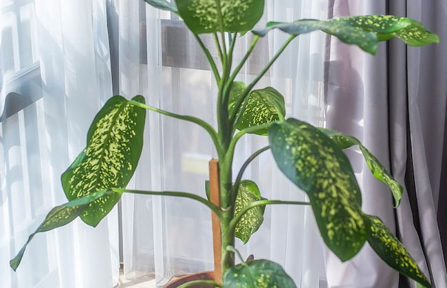 H&B apartments Queen Ketevan - Foto 28