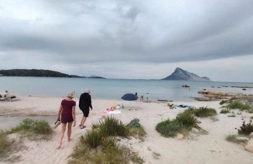 Flamingo's Home - Foto 1