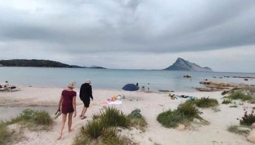 Flamingo's Home - Foto 1