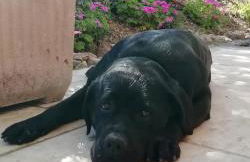 Agriturismo Fioralba - Photo 24