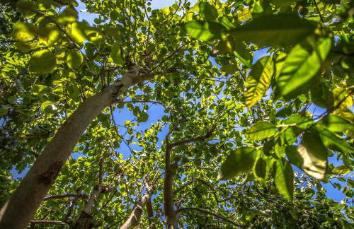 Eftychia Cottage House - Foto 59