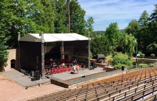 Holiday Home am Weiher by Interhome - Foto 28