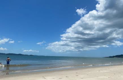 Villa Delfini - Foto 40