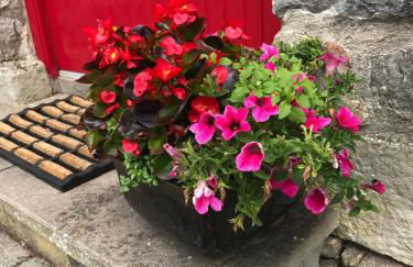 Minnie’s Cottage - Foto 29