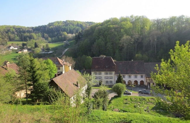 La Maison des Fontaines D'alsace - Photo 38