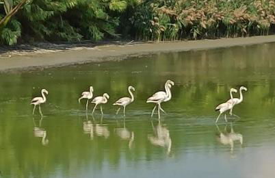 Fienile Paradiso Home Tuscany - Foto 22