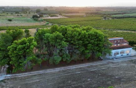 Villa Brada - Foto 4