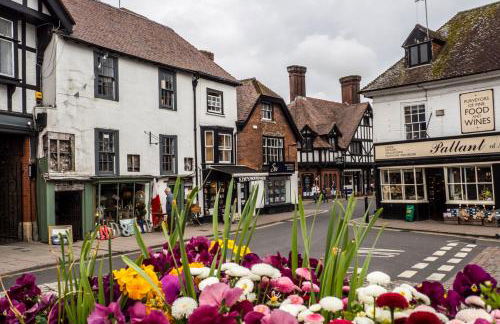 Shepherds Huts Tansy & Ethel in rural Sussex - Foto 35