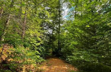 Tiny House, WIFI,Hot tub,Secluded - Foto 29