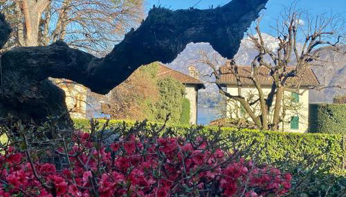 Villa Magnolia - Lake Como - Foto 3