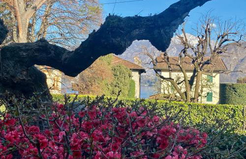 Villa Magnolia - Lake Como - Foto 3