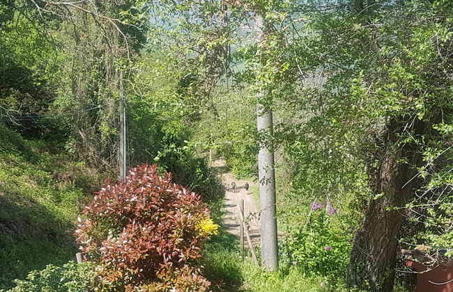 Agriturismo Piccola Raieda - Photo 19