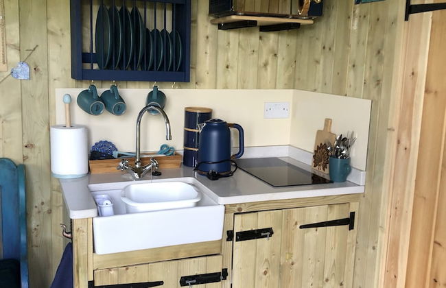 The Peacock Shepherds Hut at Hafoty Boeth - Foto 5