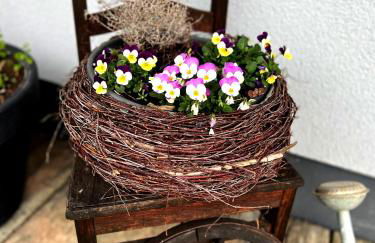 Ferienwohnungen Ast - Photo 35