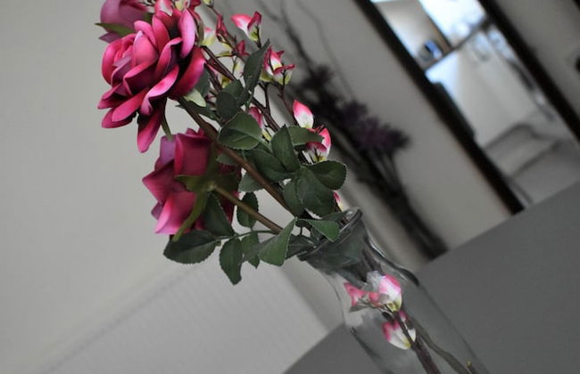 Argyle Apartments - Photo 38