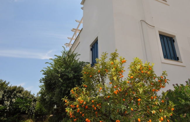 Villa Kyma - Photo 42