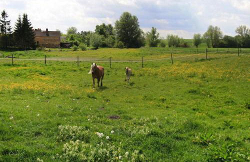 Ferienhaus, Zahrensdorf - Foto 24
