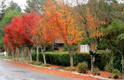 Apartamento Família Sirangelo - Foto 15