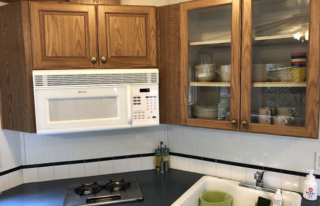 Hakuba Canadian Lodge - Foto 24