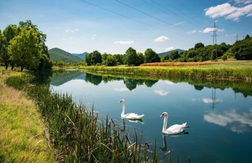 Apartman Swans - Foto 45