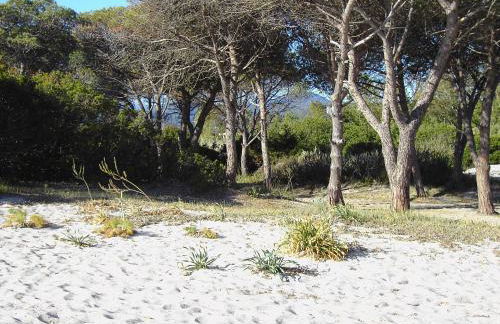 Secret Garden - Foto 22