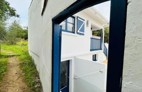 Maison de la pinède, accès direct forêt et plage - Photo 12