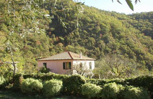 Borgata Castello - Foto 9