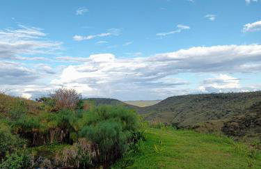 Roça Cult - Casa Baru - Foto 14