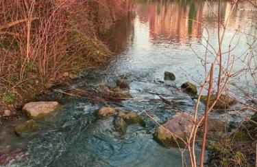 Wohlfühl- Wohnung - Foto 19