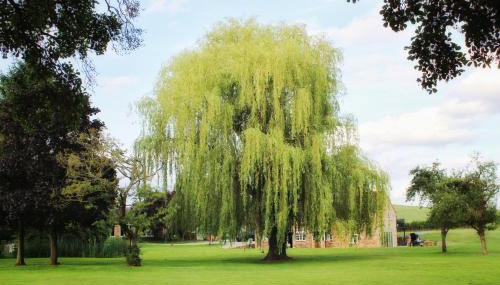 Cosy One Bed Barn Conversion Donington Park East Midlands Airport - Foto 4, Garden