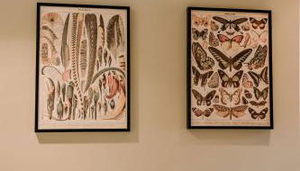 Oak Meadows House - A unique home near Yosemite - Foto 4